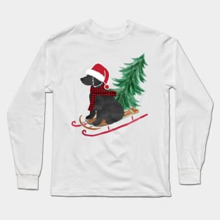 Labradoodle Christmas Sled Bringing Home The Tree Long Sleeve T-Shirt